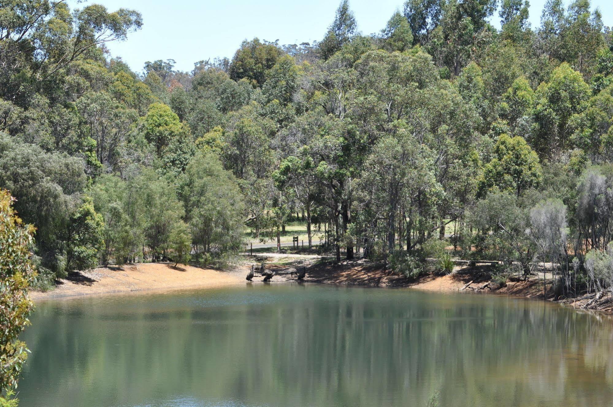 Karri Valley Chalets Pemberton Luaran gambar
